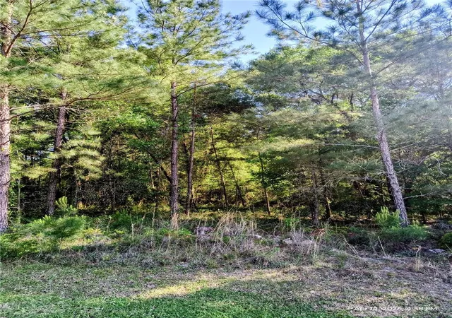 Photo 4 of Sale Pending at Tbd NW 142nd Street, Williston, FL 32696 | MLS# OM723965 | Listing updated on 2026-08-11