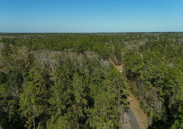 Photo 3 of Land for sale at 0 Cherokee Dr, Sopchoppy, FL 32358 | MLS# TB8504402 | Listing updated on 2026-09-14