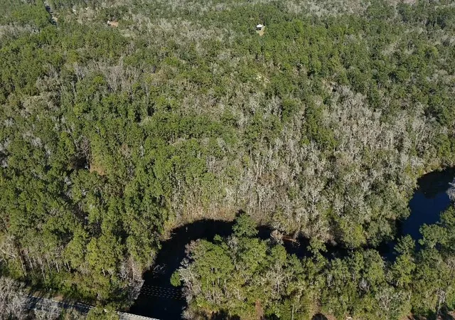 Photo 3 of Land for sale at 0 Cherokee Dr, Sopchoppy, FL 32358 | MLS# TB8504402 | Listing updated on 2026-09-14