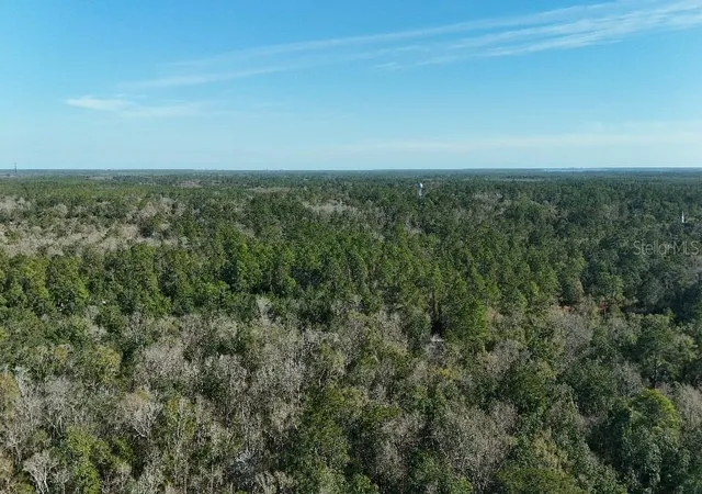Photo 3 of Land for sale at Cherokee Dr, Sopchoppy, FL 32358 | MLS# TB8504406 | Listing updated on 2026-09-14
