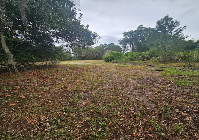 9th image of 0 Culver Wy, Geneva, FL 32732 | MLS# O6404342
