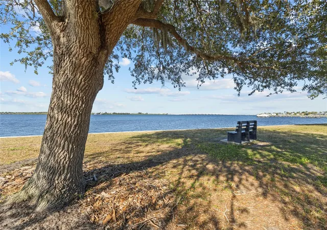 38th image of 12396 Bacchus Rd, Port Charlotte, FL 33981 | MLS# C7525686