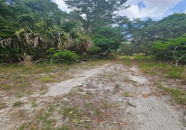 3rd image of 00 Culver Wy, Geneva, FL 32732 | MLS# O6404343