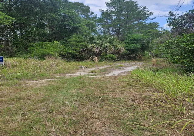 4th image of 00 Culver Wy, Geneva, FL 32732 | MLS# O6404343