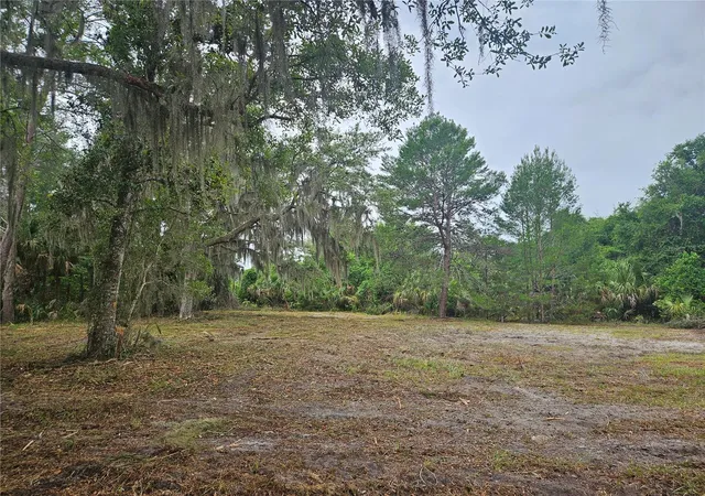 1st image of 000 Culver Wy, Geneva, FL 32732 | MLS# O6404345