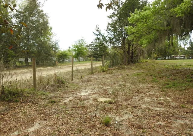 Homes for sale in Interlachen, FL | 103 George Dr, Interlachen, FL 32148 | MLS# A4692333