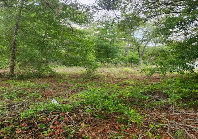 Photo 2 of Land for sale at 00 Marion Oaks Pass, Ocala, FL 34473 | MLS# OM724004 | Listing updated on 2026-10-13
