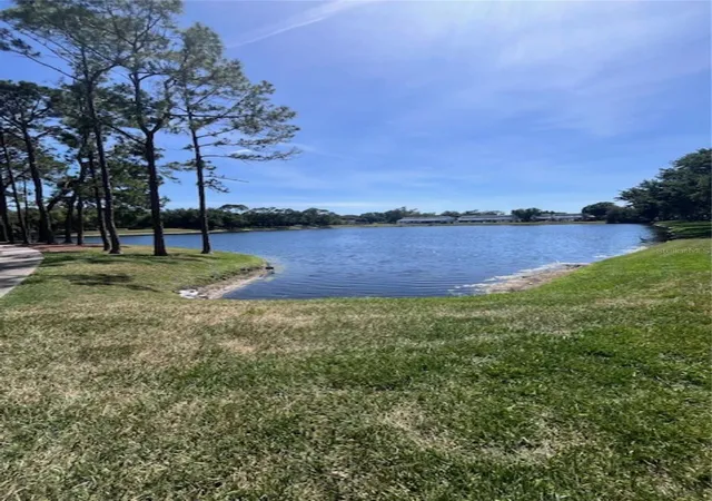 54th image of 3047 Overlook Pl, Clearwater, FL 33760 | MLS# A4692386