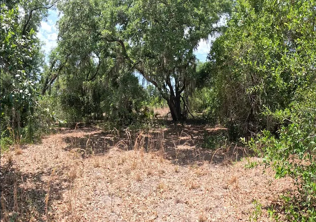 Land for sale at Hamer Ter #Lot 25, NORTH PORT, FL 34291 | MLS# C7525723