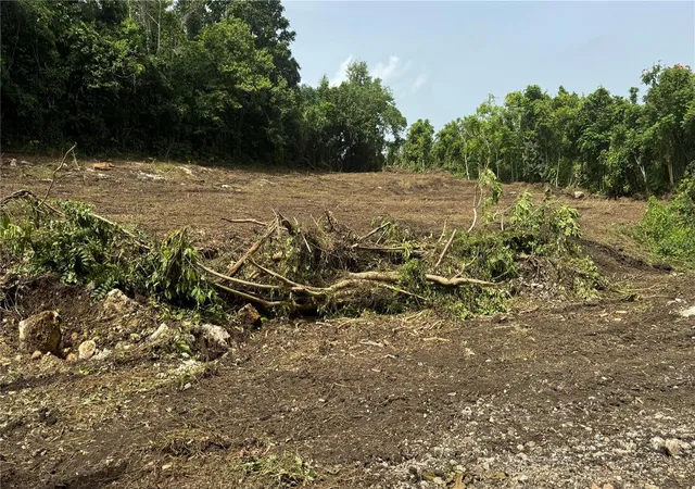 Photo 1 of Land for sale at Bo Cidral Pr 111, San Sebastian, PR 00685 | MLS# PR9121084 | Listing updated on 2026-05-05