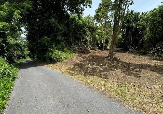 Photo 2 of Land for sale at Bo Cidral Pr 111, San Sebastian, PR 00685 | MLS# PR9121084 | Listing updated on 2026-05-05