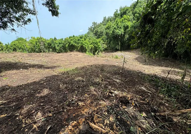 Photo 3 of Land for sale at Bo Cidral Pr 111, San Sebastian, PR 00685 | MLS# PR9121084 | Listing updated on 2026-05-05