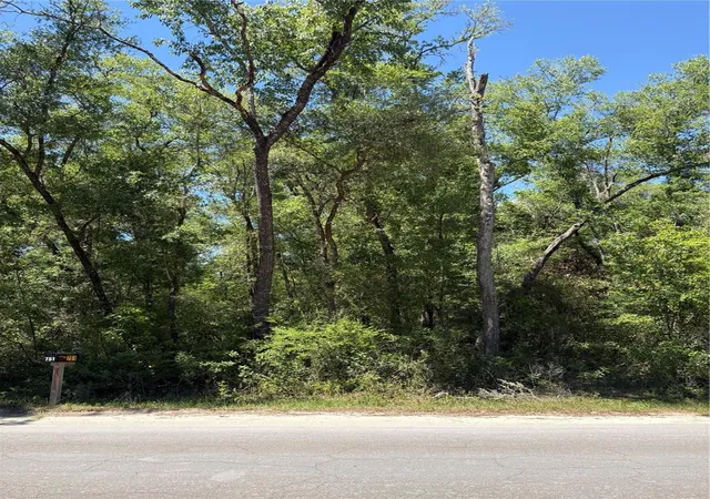 Photo 1 of Land for sale at 00 Northeast 7th Pl, Williston, FL 32696 | MLS# OM724054 | Listing updated on 2026-09-07