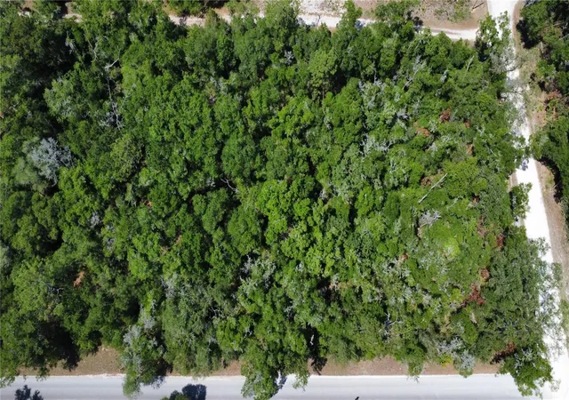 Photo 2 of Land for sale at 00 Northeast 7th Pl, Williston, FL 32696 | MLS# OM724054 | Listing updated on 2026-09-07