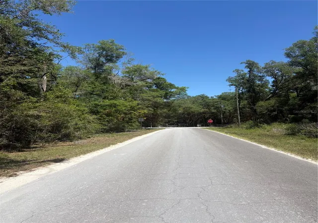 Photo 4 of Land for sale at 00 Northeast 7th Pl, Williston, FL 32696 | MLS# OM724054 | Listing updated on 2026-09-07