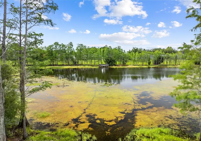 Homes for sale in Oviedo, FL | 2743 Running Springs Loop, Oviedo, FL 32765 | MLS# O6404749