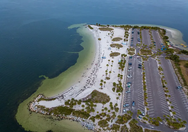 5th image of 372 Moorings Cvs Dr, TARPON SPRINGS, FL 34689
