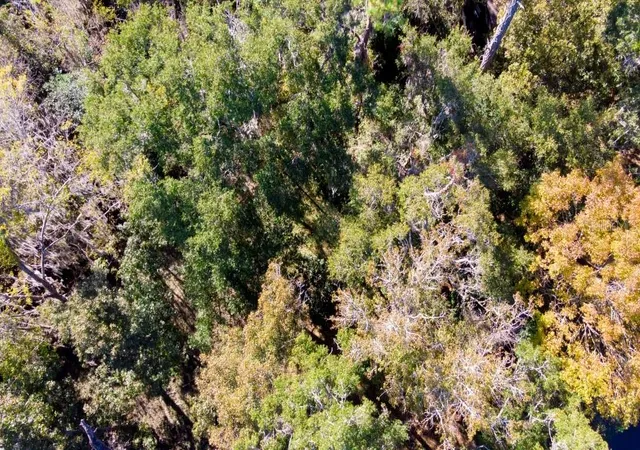 3rd image of 1723 Nw 14Th Ave, Gainesville, FL 32605 | MLS# GC540066