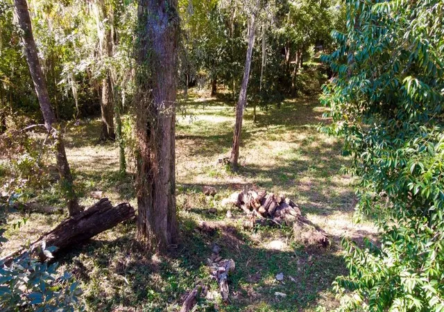 4th image of 1723 Nw 14Th Ave, Gainesville, FL 32605 | MLS# GC540066
