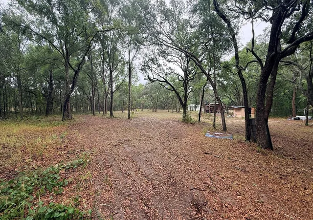 46th image of 15535 Little Ranch Rd, Spring Hill, FL 34610 | MLS# TB8505056