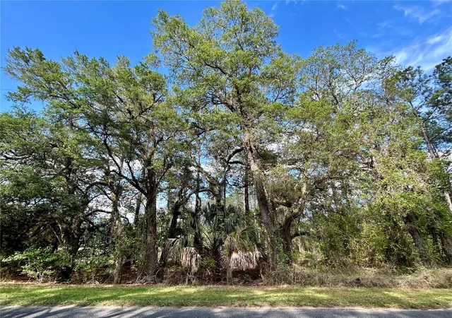 Photo 1 of Land for sale at 4819 Ne 211th Drive, Earleton, FL 32631 | MLS# GC540071 | Listing updated on 2026-08-10