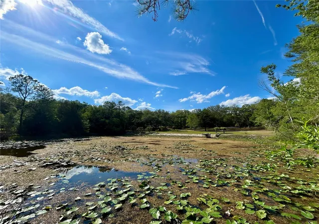 Photo 3 of Land for sale at 4819 NE 211th Drive, Earleton, FL 32631 | MLS# GC540071 | Listing updated on 2026-08-10