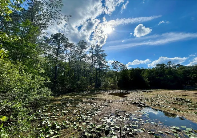 Photo 4 of Land for sale at 4819 NE 211th Drive, Earleton, FL 32631 | MLS# GC540071 | Listing updated on 2026-08-10