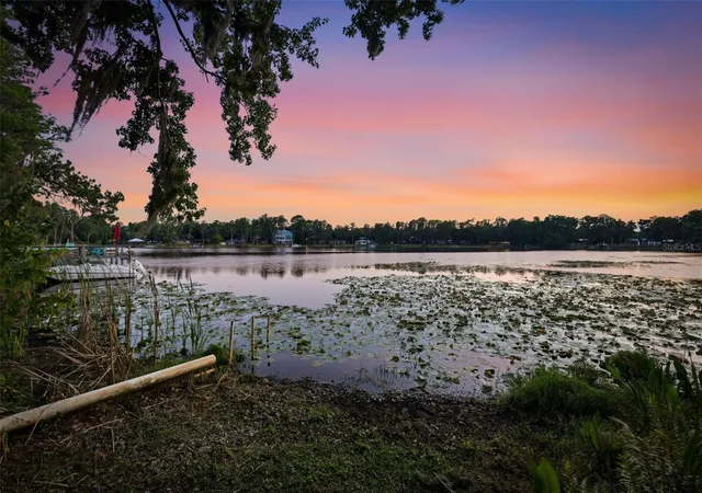 59th image of 14702 Bluestone Ln, Odessa, FL 33556 | MLS# TB8505084