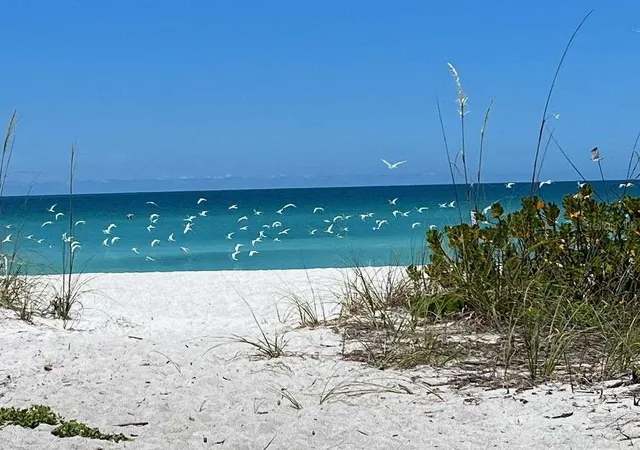 Homes for sale in Longboat Key, FL | 843 Bayport Wy #843, Longboat Key, FL 34228 | MLS# TB8505224
