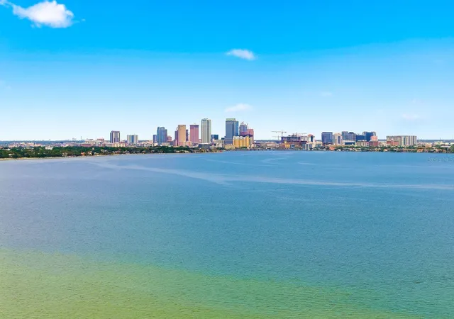 2nd image of 4811 Bayshore Blvd, TAMPA, FL 33611