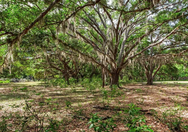 1st image of (Undisclosed), Thonotosassa, FL 33592 | MLS# TB8505252