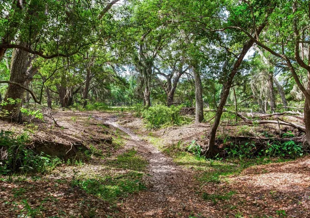 3rd image of (Undisclosed), Thonotosassa, FL 33592 | MLS# TB8505252