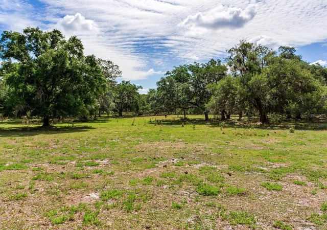 5th image of (Undisclosed), Thonotosassa, FL 33592 | MLS# TB8505252