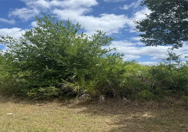 Photo 1 of Land for sale at 12090 Zittle Ave, Port Charlotte, FL 33981 | MLS# A4692596 | Listing updated on 2026-10-09