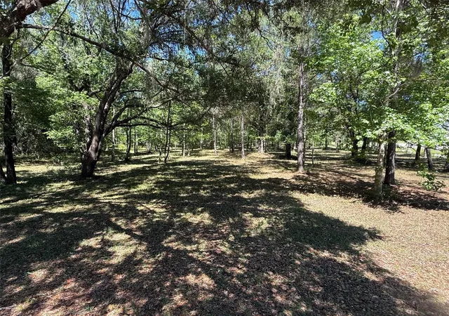 1st image of 0 Nw 145 Ave, Williston, FL 32696 | MLS# OM724103