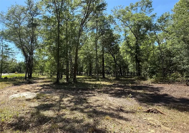 3rd image of 0 Nw 145 Ave, Williston, FL 32696 | MLS# OM724103