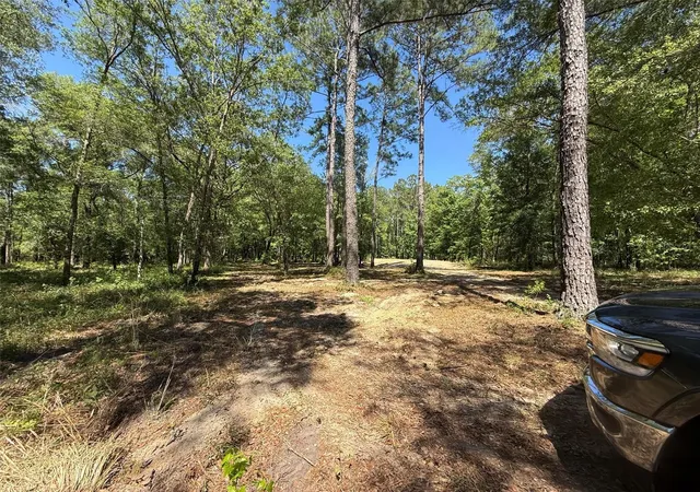 5th image of 0 Nw 145 Ave, Williston, FL 32696 | MLS# OM724103