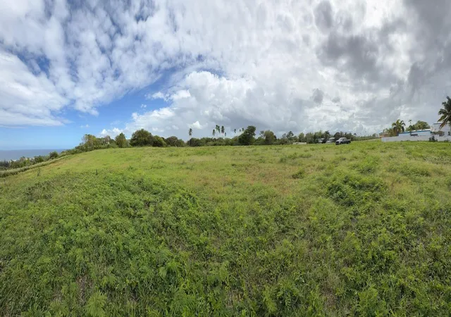 Photo 3 of Land for sale at 459 Pozo Dulce, Isabela, PR 00662 | MLS# PR9121122 | Listing updated on 2026-07-21