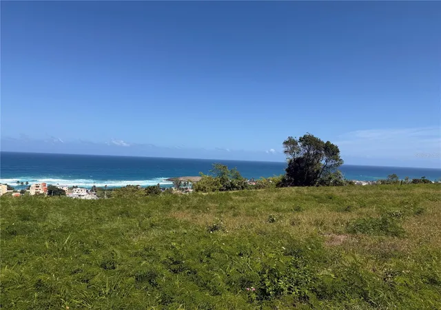 Photo 4 of Land for sale at 459 Pozo Dulce, Isabela, PR 00662 | MLS# PR9121122 | Listing updated on 2026-07-21