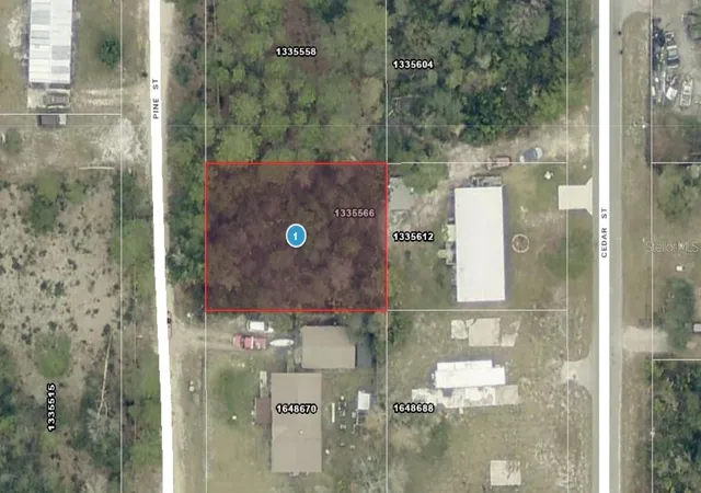 Homes for sale in Paisley, FL | 14 17 28 0200 009 01400 Pine St, Paisley, FL 32767 | MLS# A4692612