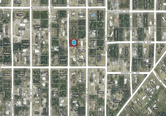 Homes for sale in Paisley, FL | 14 17 28 0200 009 01400 Pine St, Paisley, FL 32767 | MLS# A4692612