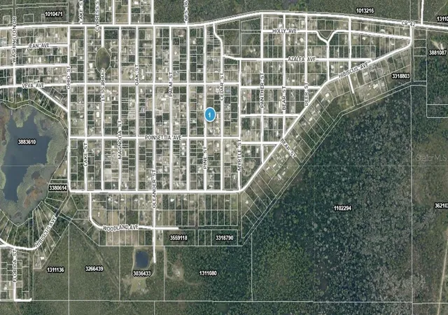 Homes for sale in Paisley, FL | 14 17 28 0200 009 01400 Pine St, Paisley, FL 32767 | MLS# A4692612