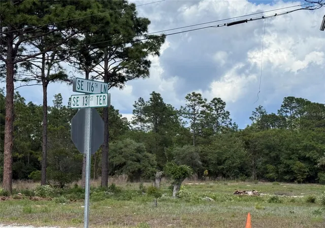 Photo 3 of Land for sale at 00 Se 116th Lane, Dunnellon, FL 34431 | MLS# OM724117 | Listing updated on 2026-06-18
