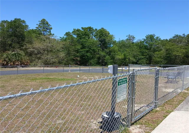 80th image of 7899 W Fostoria Dr, Dunnellon, FL 34433 | MLS# OM724123
