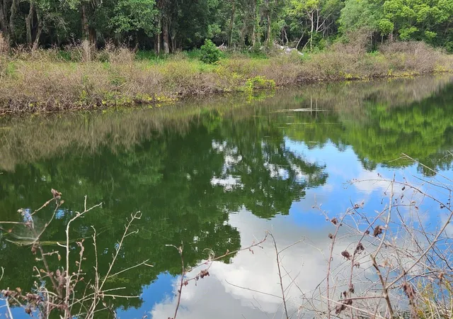 2nd image of Burnsed Rd, Pierson, FL 32180 | MLS# R4911216
