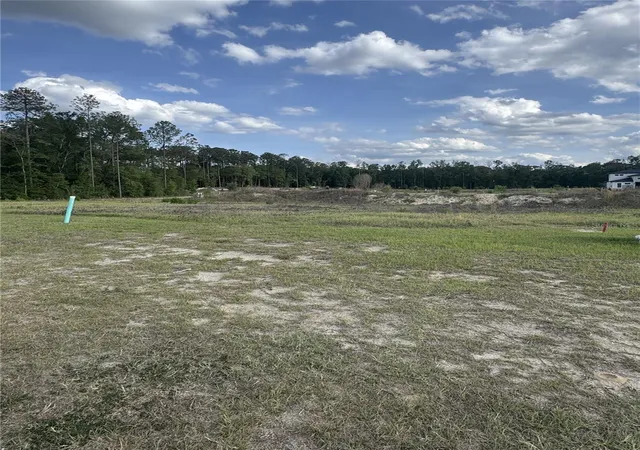 Photo 3 of Single family home for sale at 14759 SW 9th Lane, Newberry, FL 32669 | MLS# GC540099 | Listing updated on 2026-08-18