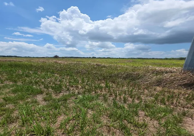 Homes for sale in Wauchula, FL | Metheny Rd, Parcel C, Wauchula, FL 33873 | MLS# TB8505717