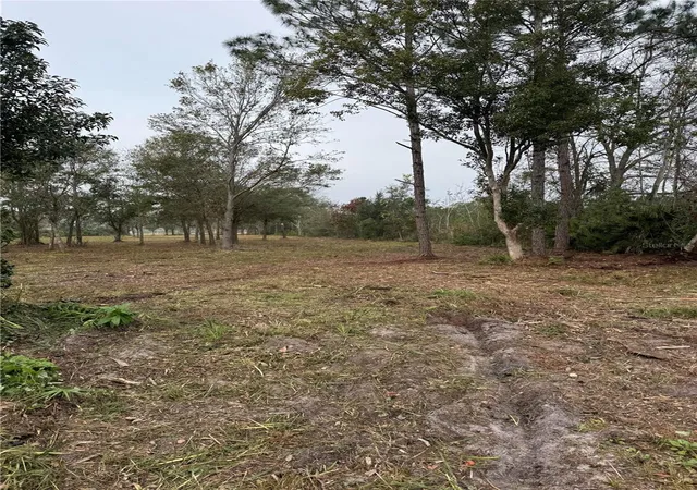 3rd image of 0 West Frostproof Rd, Frostproof, FL 33843 | MLS# K4903470