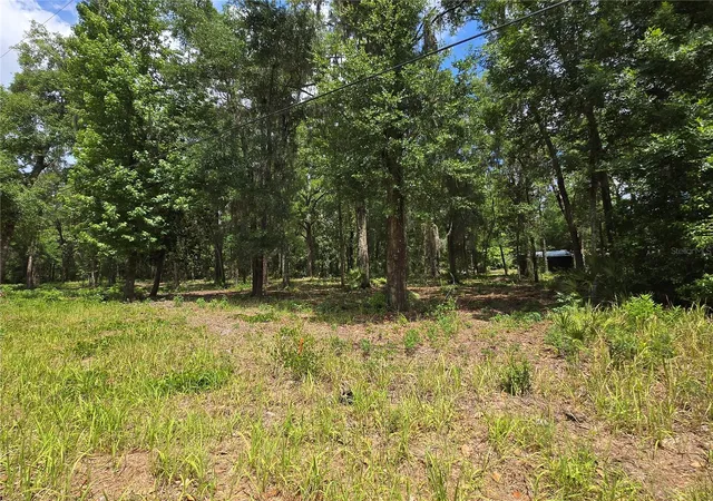 1st image of 0 Sw 15th Pl, Ocala, FL 34481 | MLS# S5149343