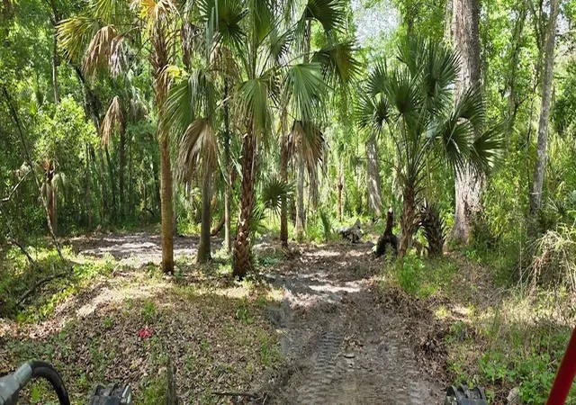Photo 1 of Land for sale at 0 Paul S Buchman Hwy, Zephyrhills, FL 33540 | MLS# TB8505802 | Listing updated on 2026-07-30